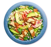 Salmon salad